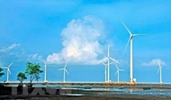 Gia Lai approves 56-million-USD wind power project